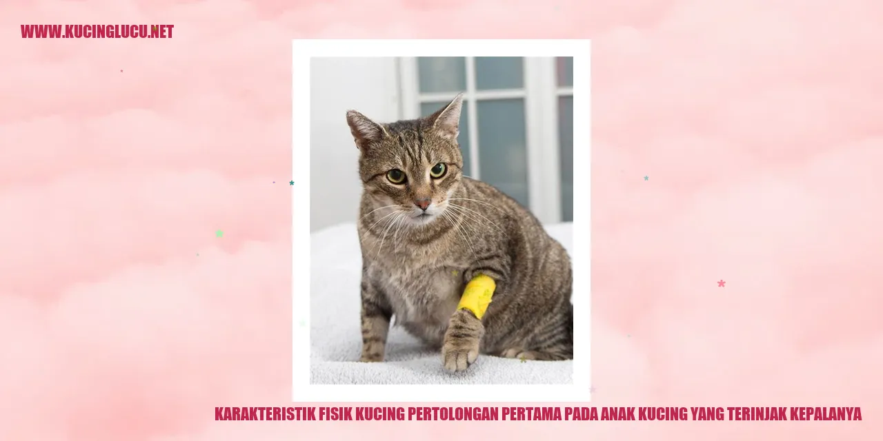 Karakteristik Fisik Kucing