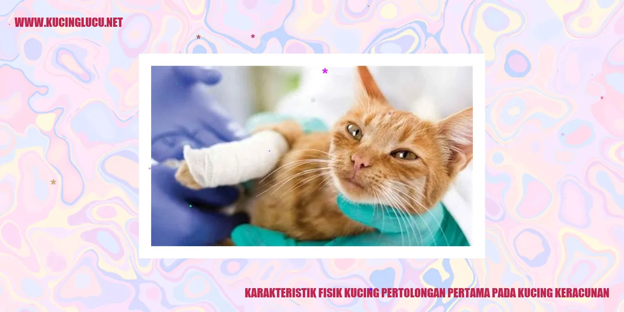 karakteristik fisik kucing