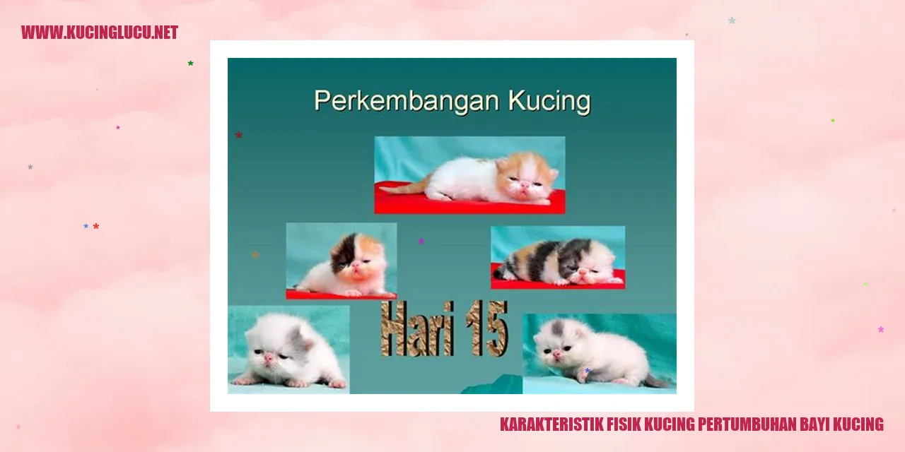 Bayi kucing yang menggemaskan