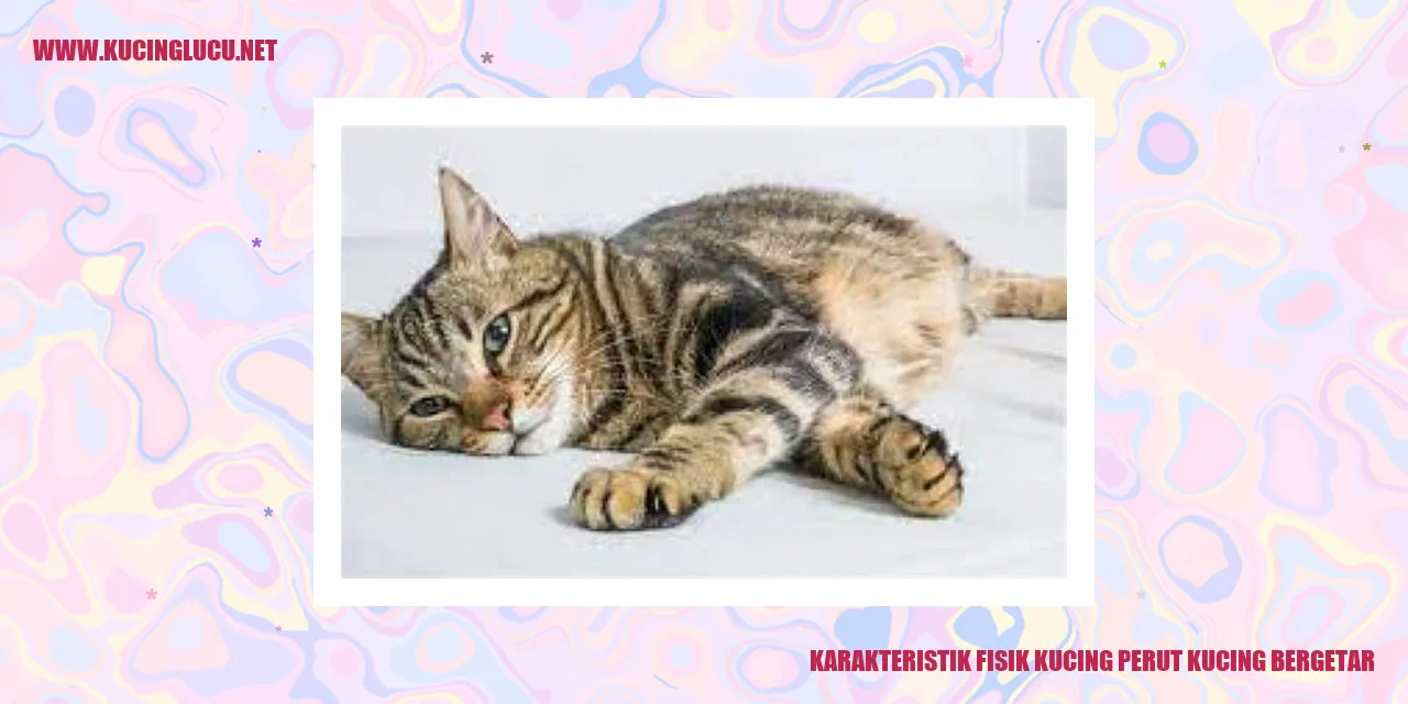 Perut Kucing Bergetar