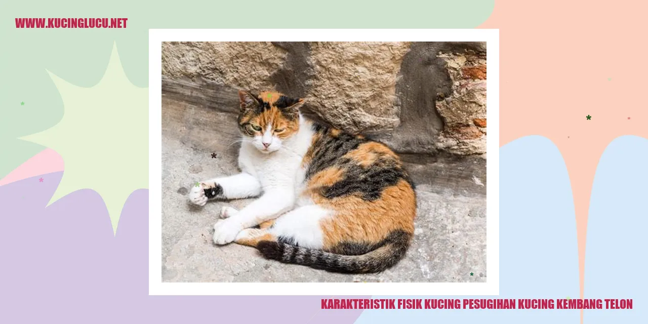 Karakteristik Fisik Kucing pesugihan kucing kembang telon