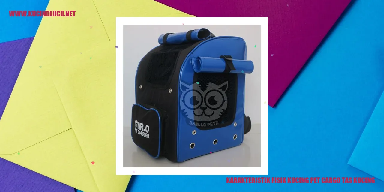 Karakteristik Fisik Kucing Pet Cargo Tas Kucing
