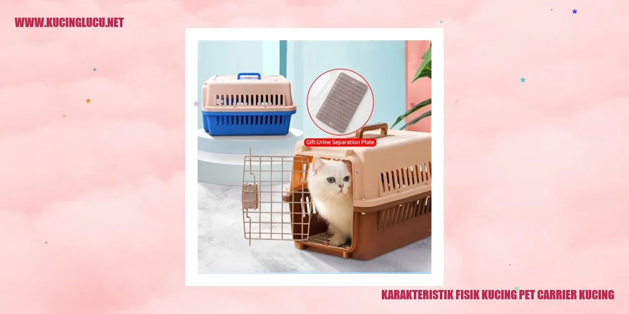 Karakteristik Fisik Kucing Pet Carrier