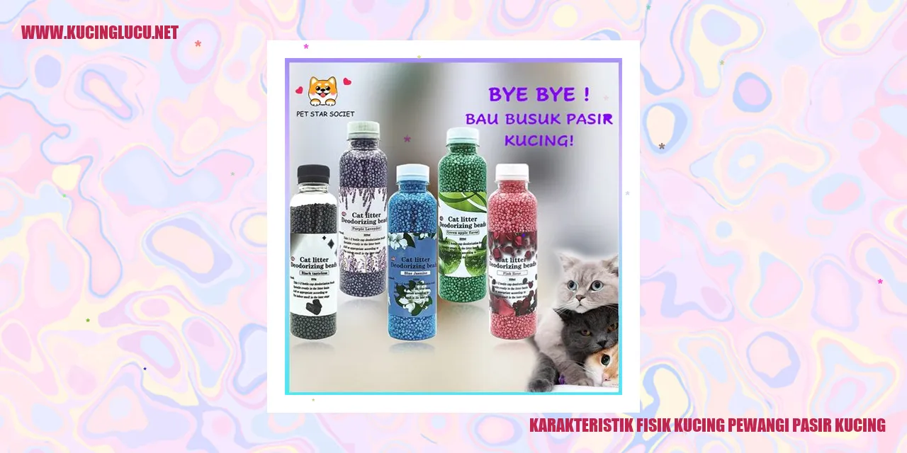 Gambar Kucing Pewangi Pasir Kucing