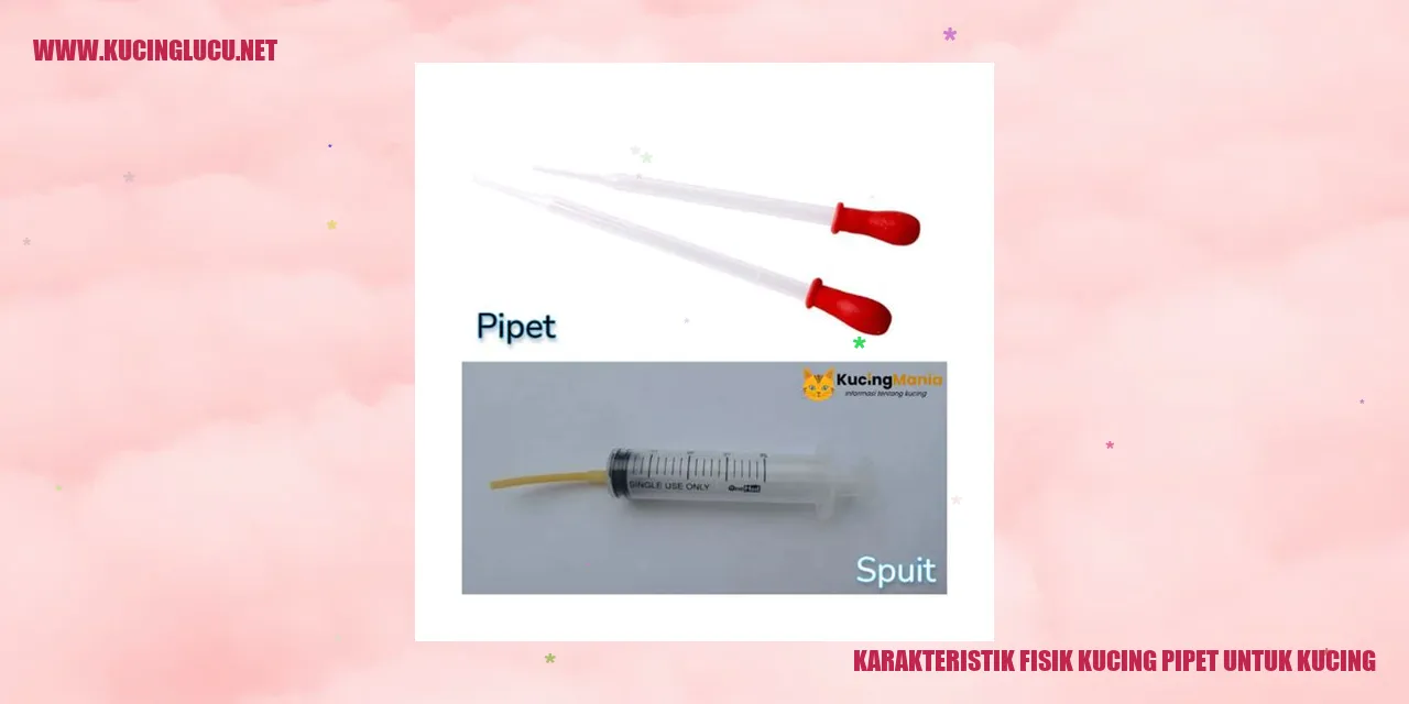 Karakteristik Fisik Kucing pipet untuk kucing