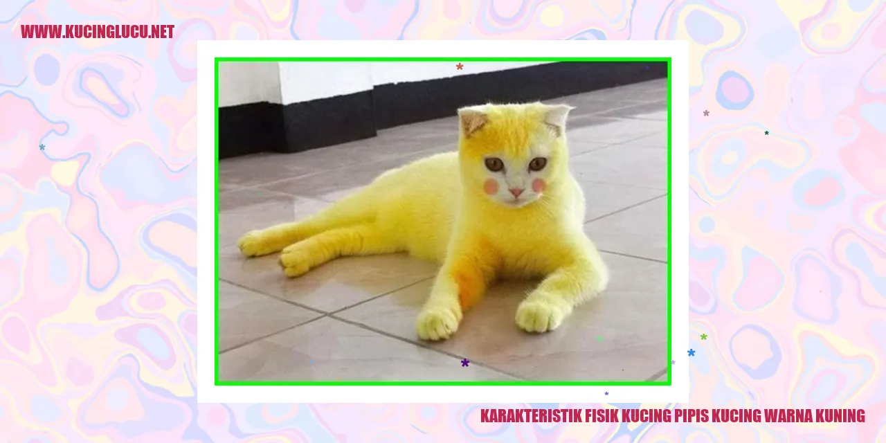 Kucing Warna Kuning