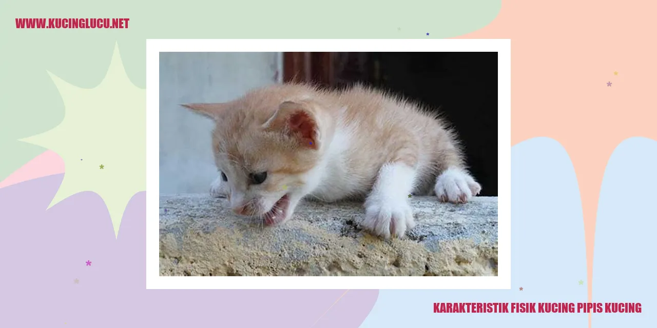 Karakteristik Fisik Kucing