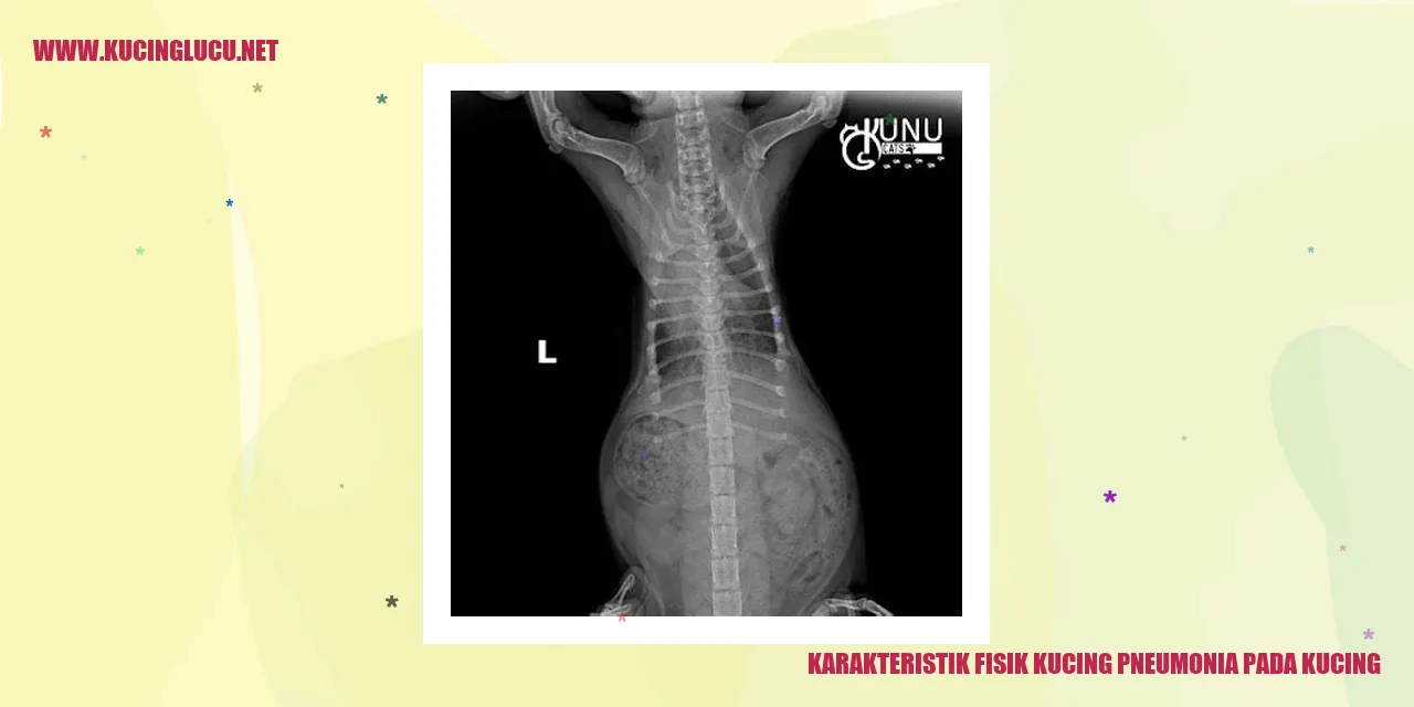 Karakteristik Fisik Kucing Pneumonia pada Kucing