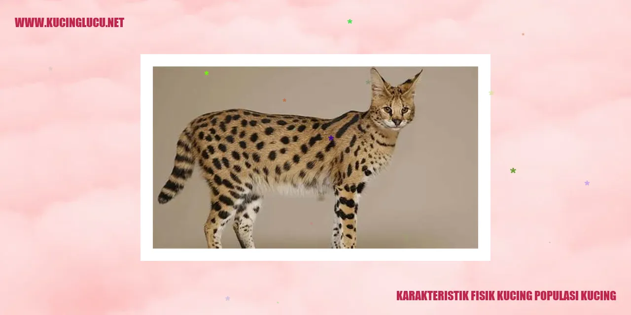 Karakteristik Fisik Kucing