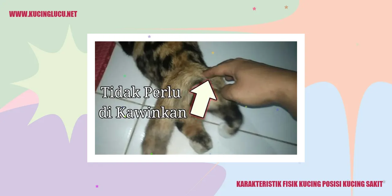 Karakteristik Fisik Kucing Sakit