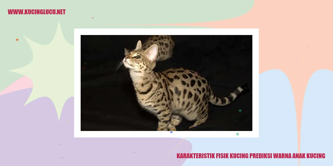 Karakteristik Fisik Kucing