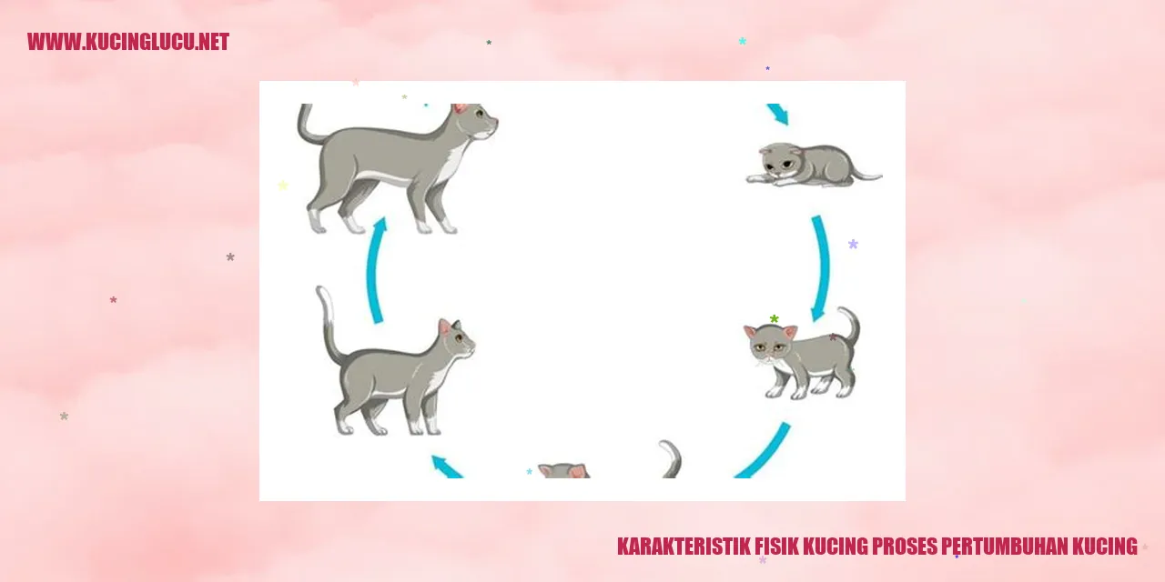 Kucing yang Menggemaskan