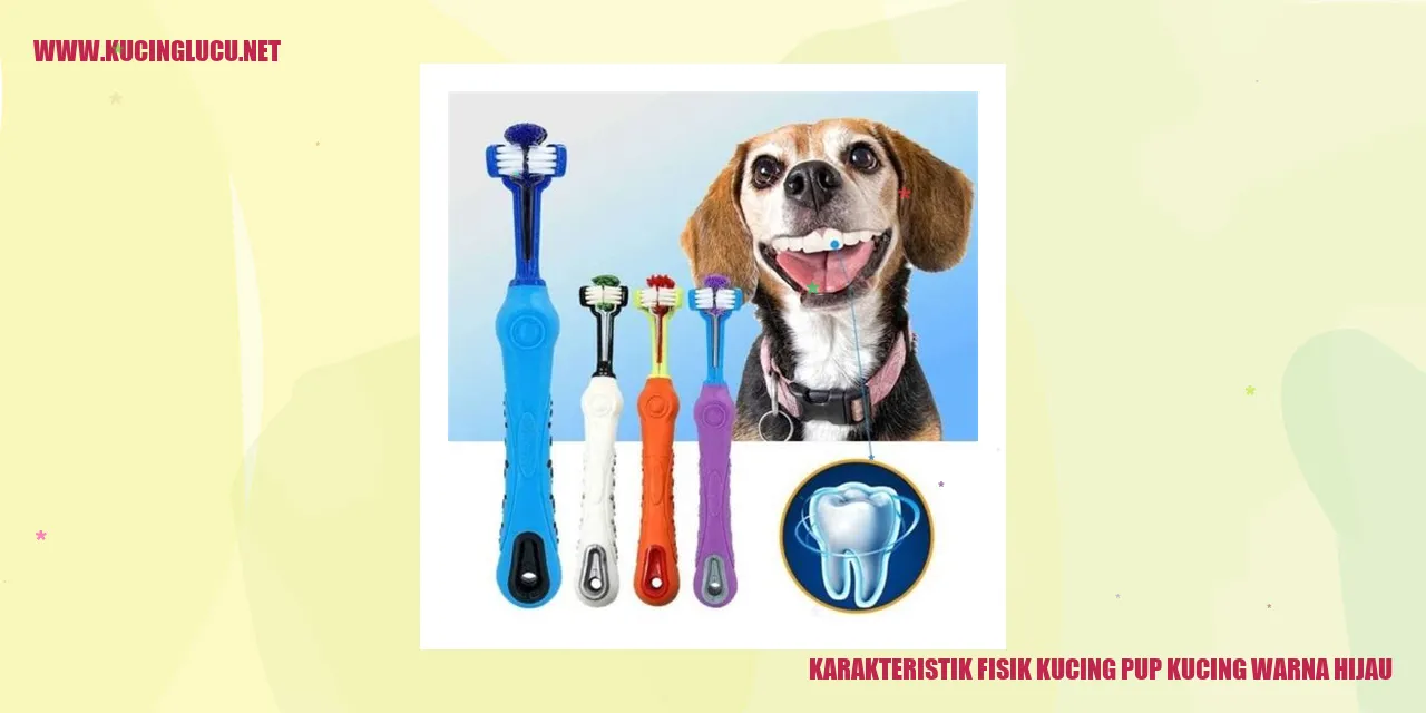 Gambar Kucing Pup Warna Hijau