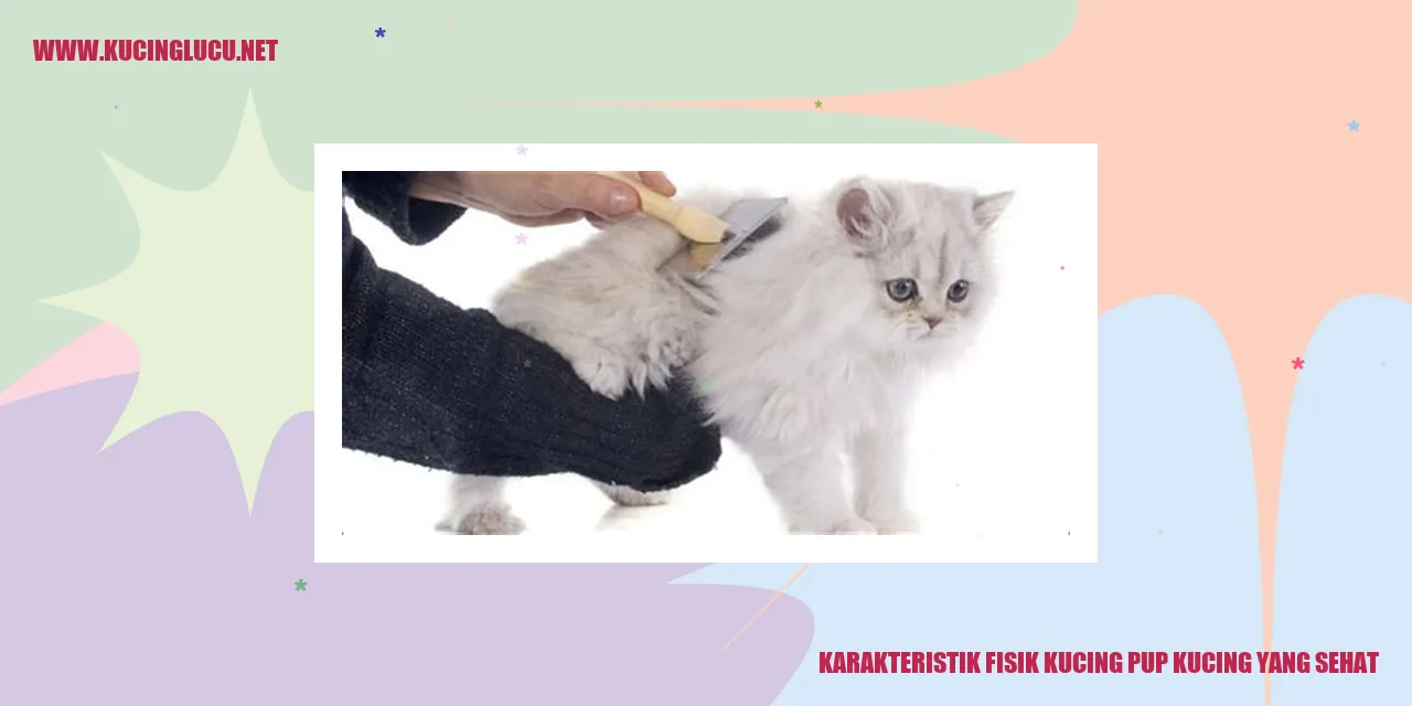 Karakteristik Fisik Kucing