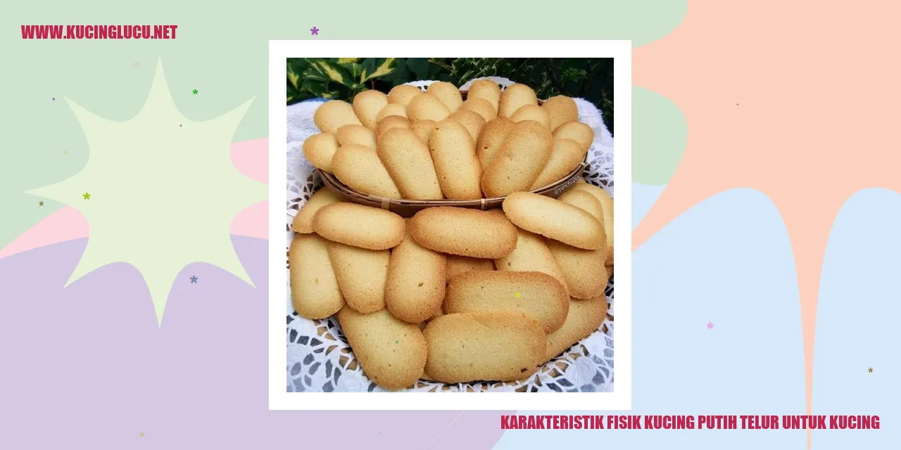 Karakteristik Fisik Kucing putih telur untuk kucing