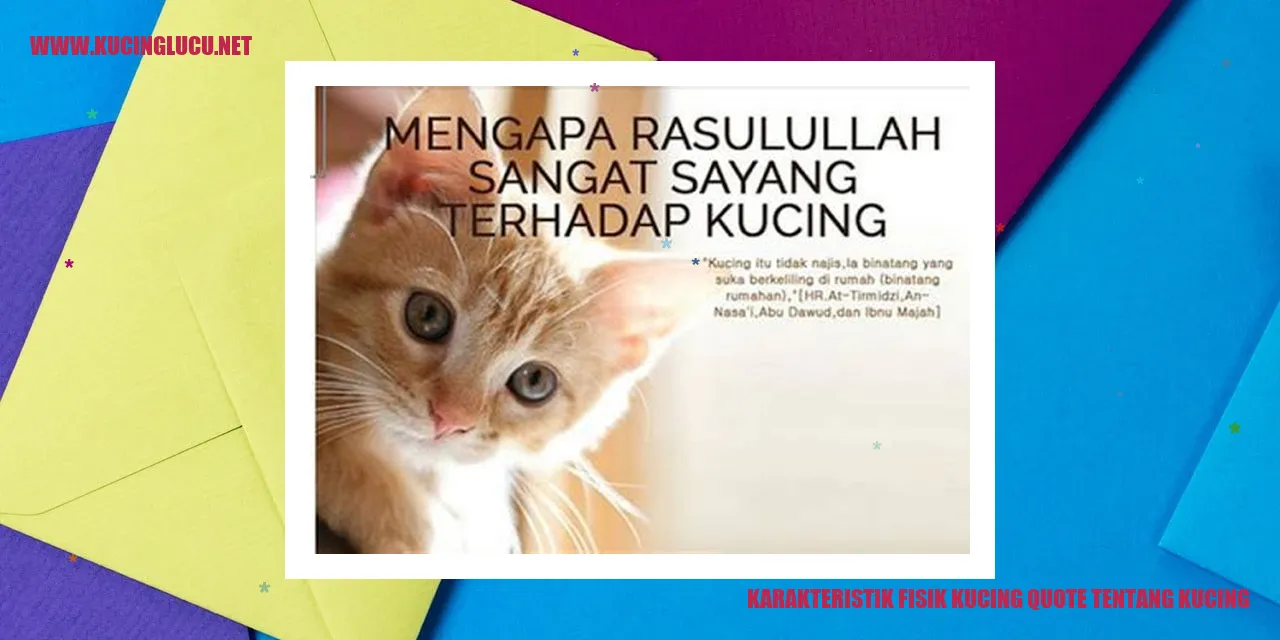 Karakteristik Fisik Kucing