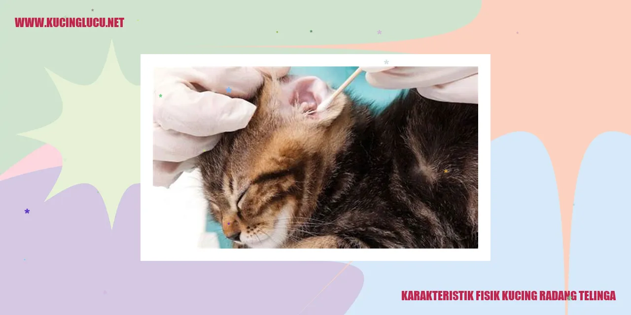 Karakteristik Fisik Kucing Radang Telinga