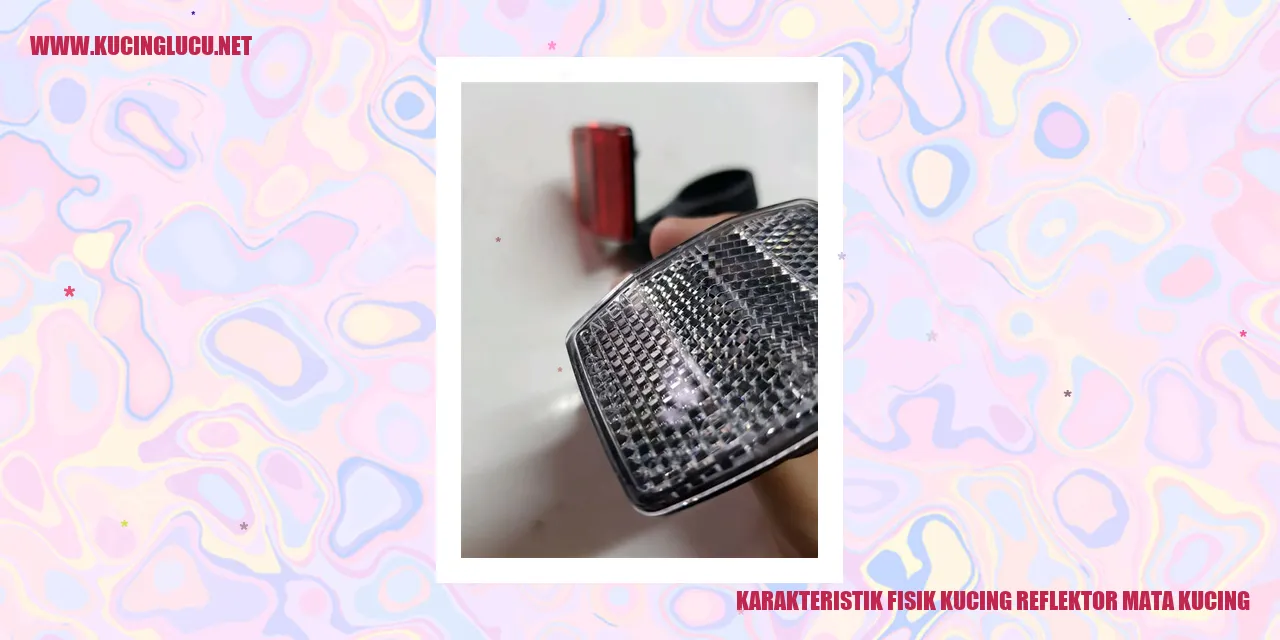 karakteristik fisik kucing