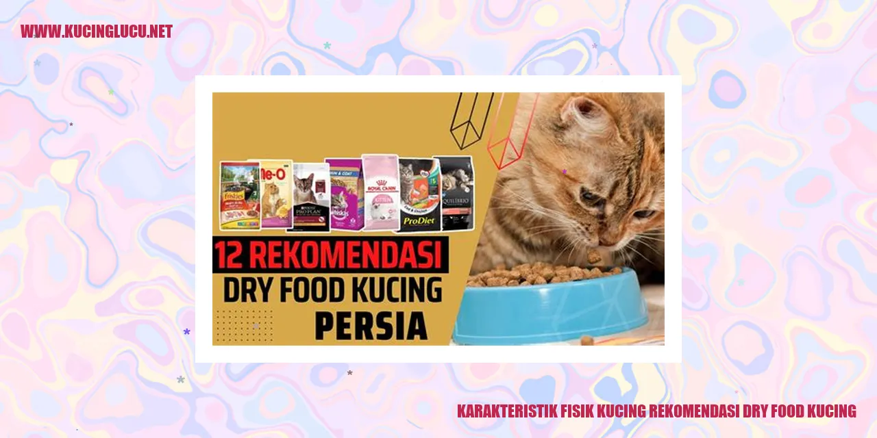 Karakteristik Fisik Kucing rekomendasi dry food kucing