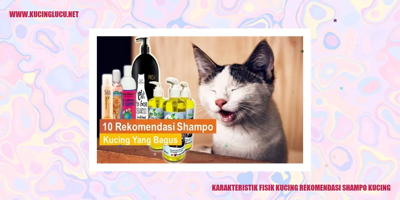 Karakteristik Fisik Kucing dan Rekomendasi Shampo untuk Kucing Anda