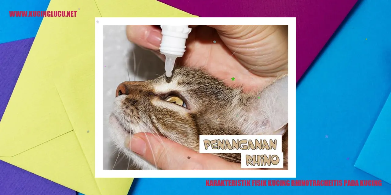 Karakteristik Fisik Kucing Rhinotracheitis pada Kucing