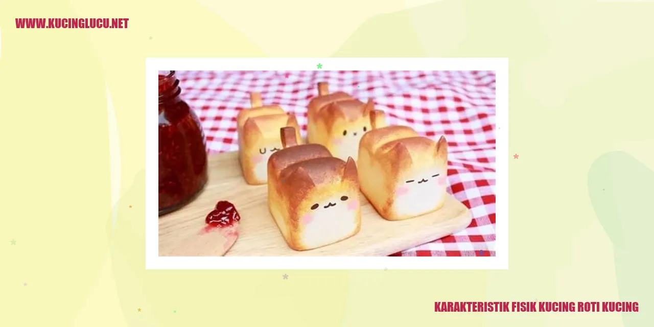 Gambar kucing roti kucing