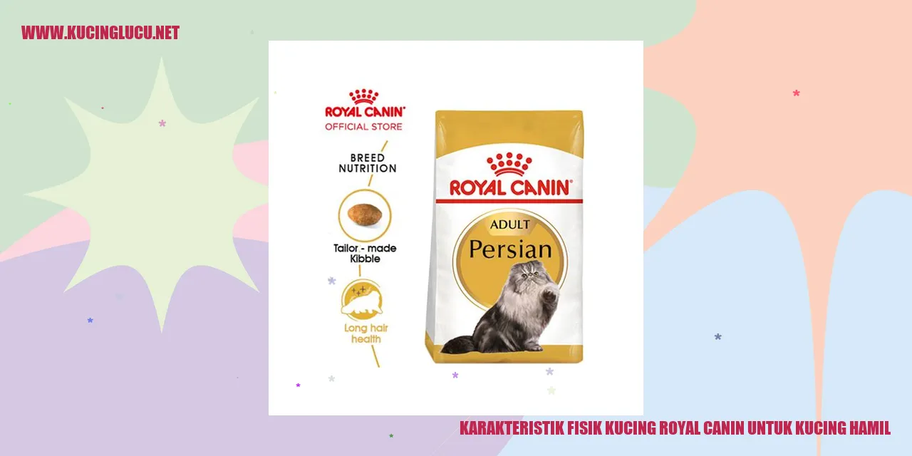 Karakteristik Fisik Kucing Royal Canin untuk Kucing Hamil
