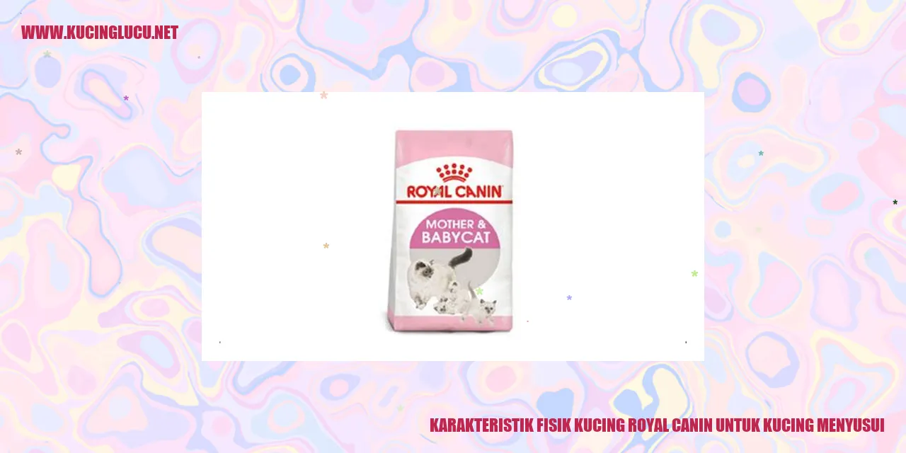 Karakteristik Fisik Kucing Royal Canin untuk Kucing Menyusui