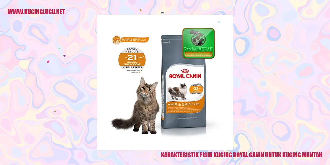 Kucing Royal Canin