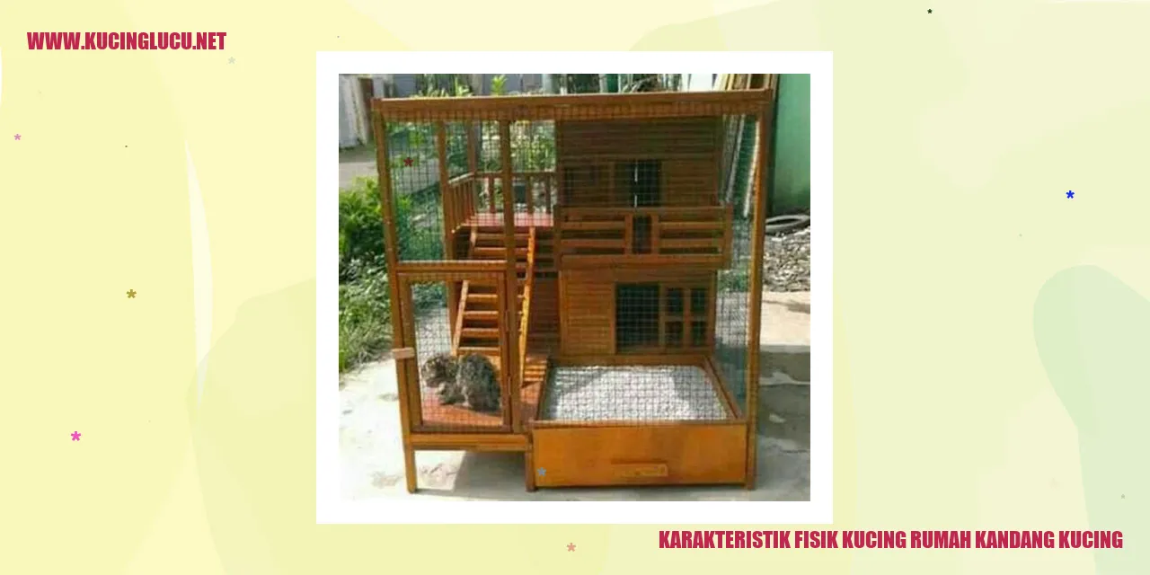 gambar kucing yang menggemaskan