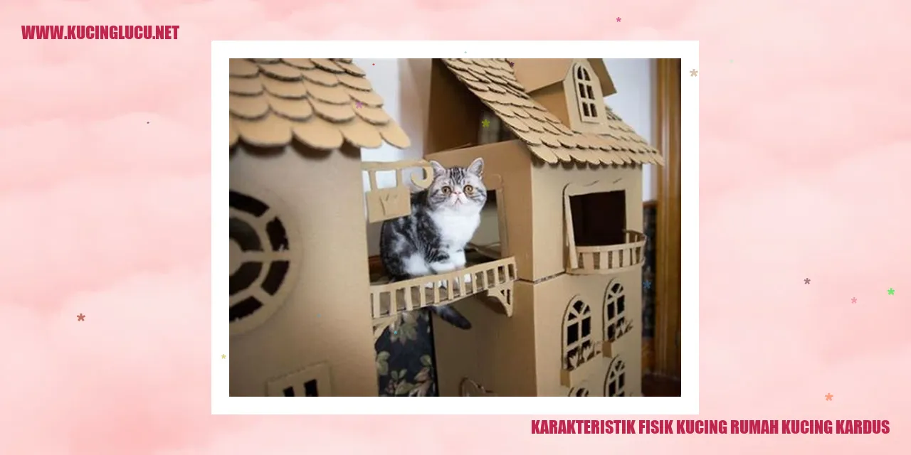 gambar kucing di rumah kucing kardus