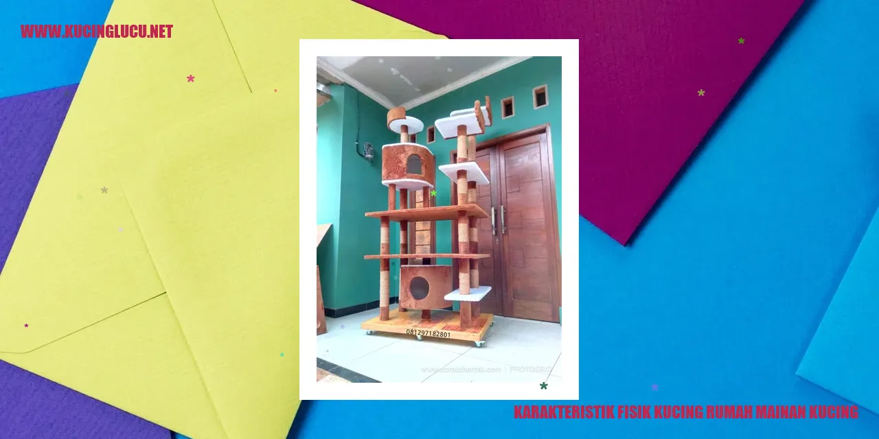 Kucing rumah mainan