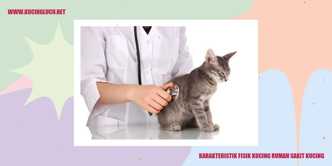 Karakteristik Fisik Kucing Rumah Sakit Kucing