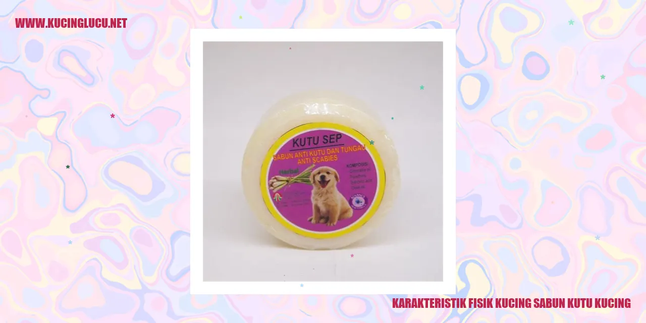 Karakteristik Fisik Kucing Sabun Kutu Kucing