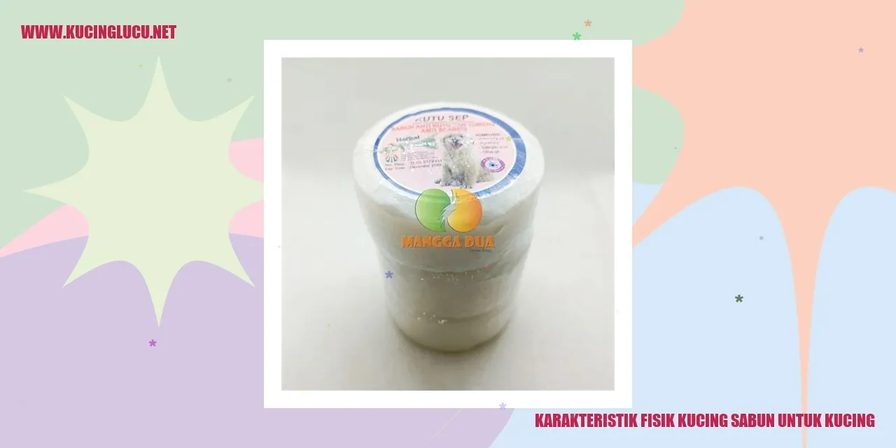 Karakteristik Fisik Kucing Sabun untuk Kucing