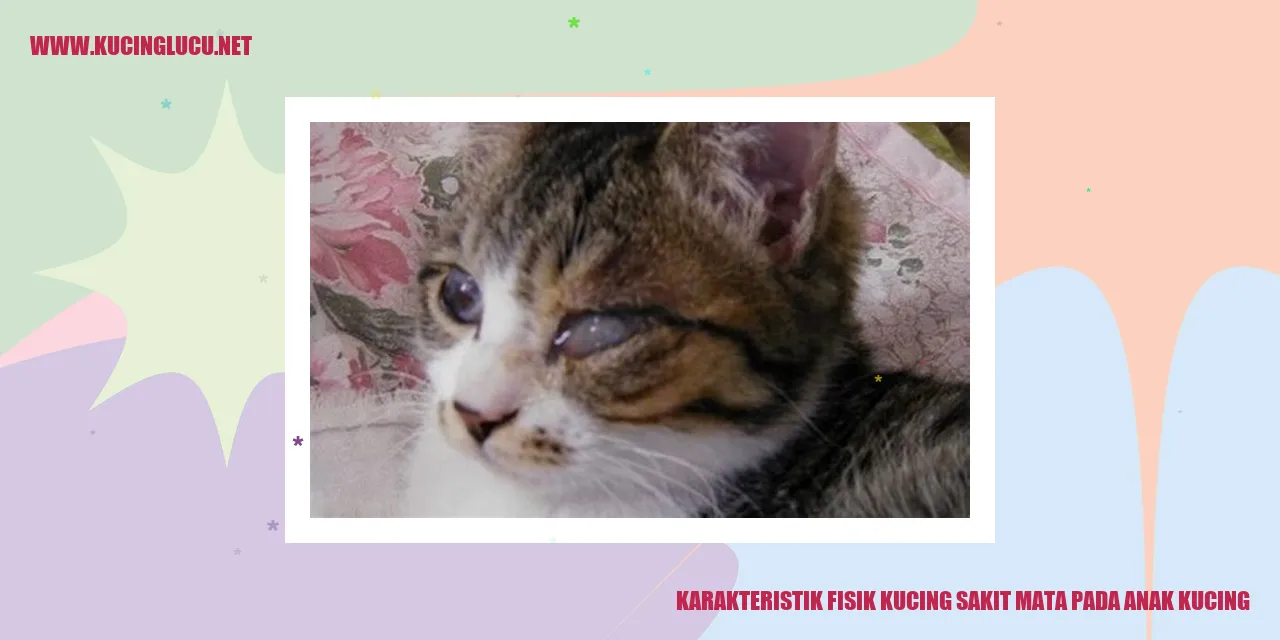 Karakteristik Fisik Kucing Sakit Mata pada Anak Kucing