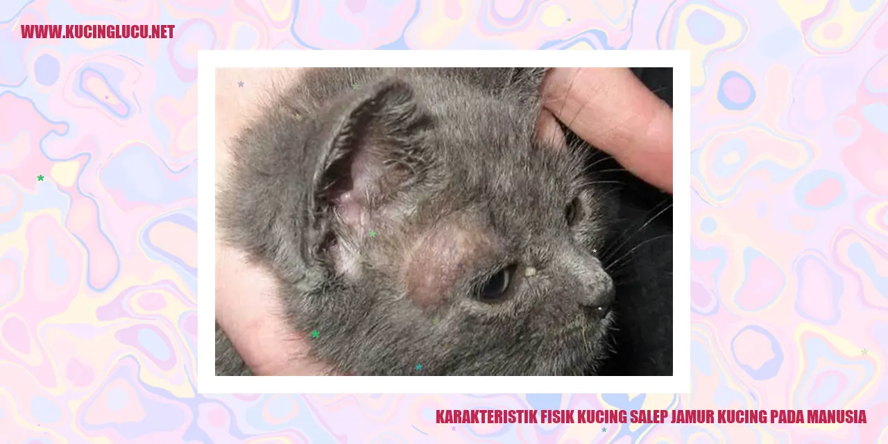 Karakteristik Fisik Kucing salep jamur kucing pada manusia
