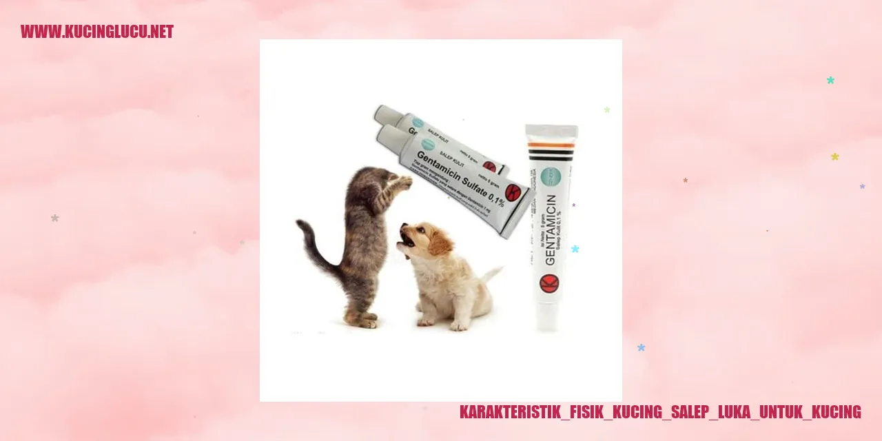 Karakteristik Fisik Kucing salep luka untuk kucing