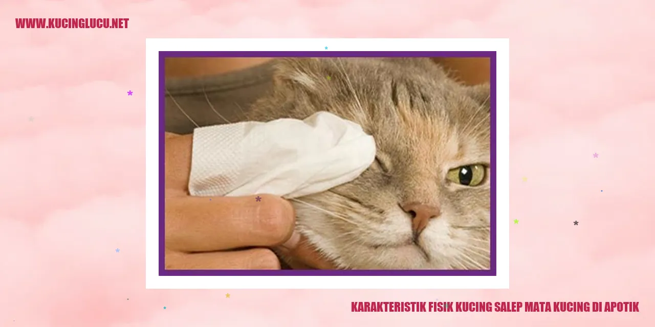 Karakteristik Fisik Kucing Salep Mata Kucing di Apotik