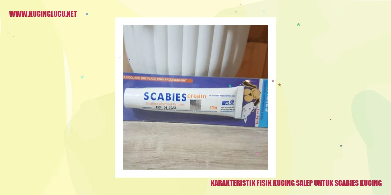 Karakteristik Fisik Kucing Salep untuk Scabies Kucing