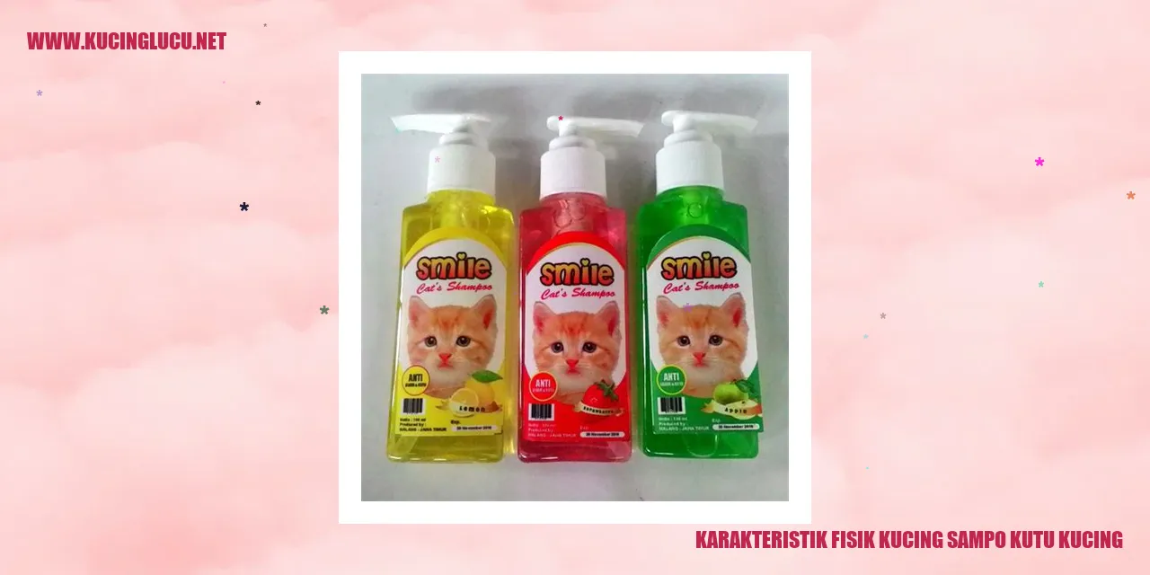 Karakteristik Fisik Kucing Sampo Kutu Kucing