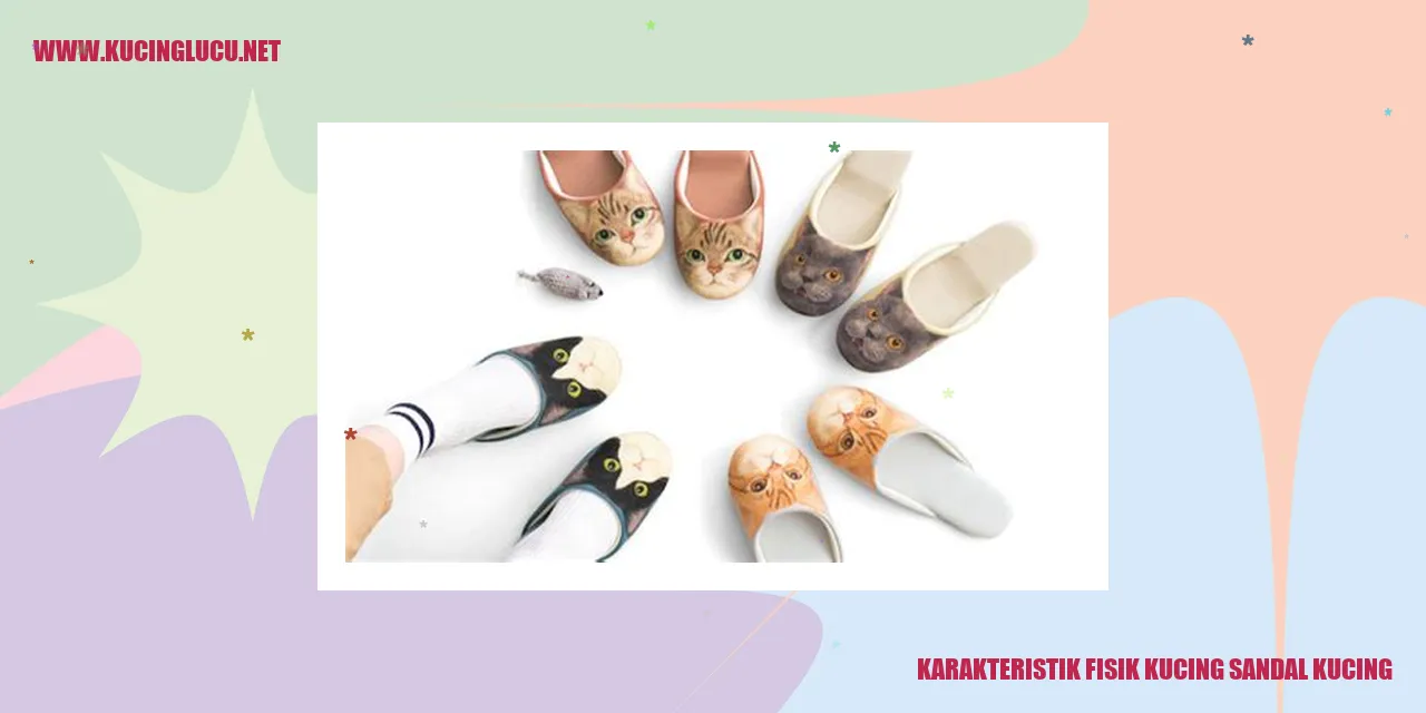 Karakteristik Fisik Kucing Sandal Kucing