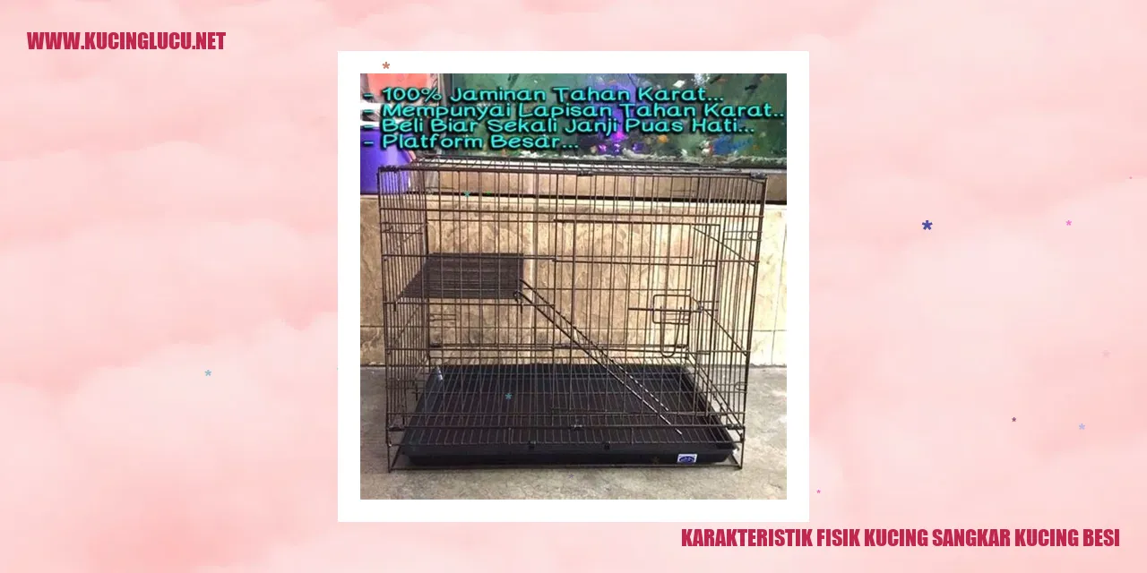 karakteristik fisik kucing sangkar kucing besi