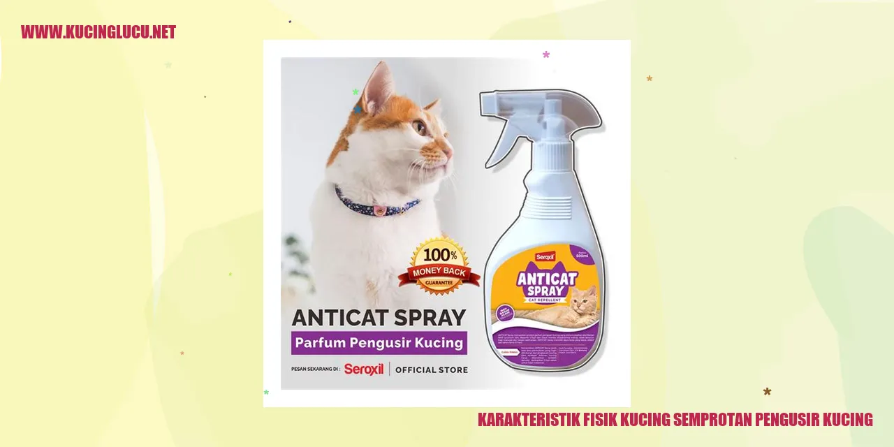 gambar kucing