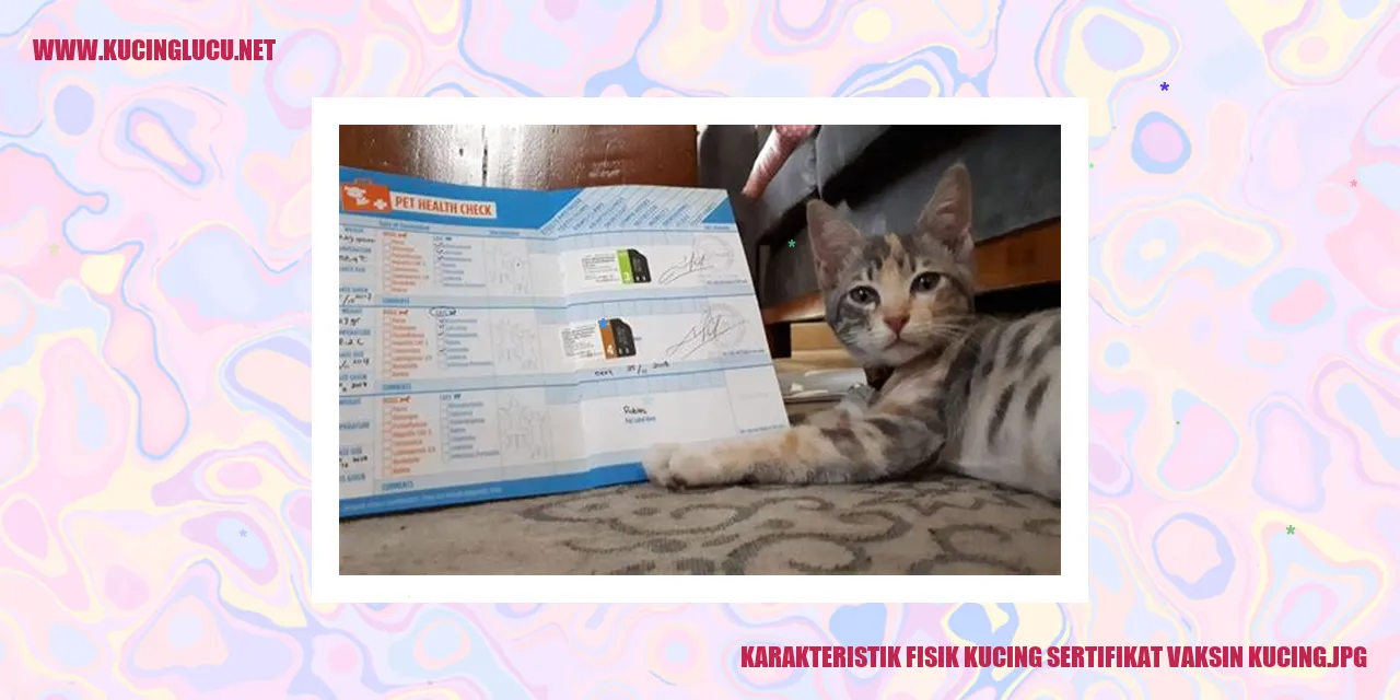 Karakteristik Fisik Kucing dan Sertifikat Vaksin Kucing