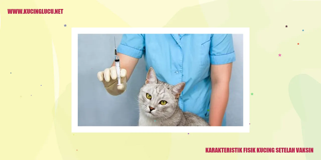 Gambar Kucing