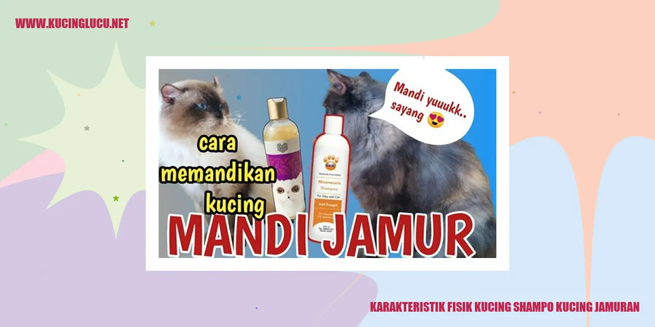 Karakteristik Fisik Kucing