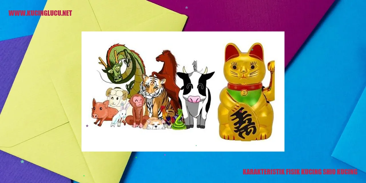 Gambar Kucing Shio