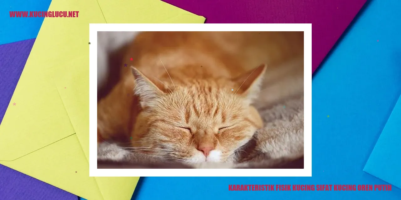 Karakteristik Fisik Kucing sifat kucing oren putih