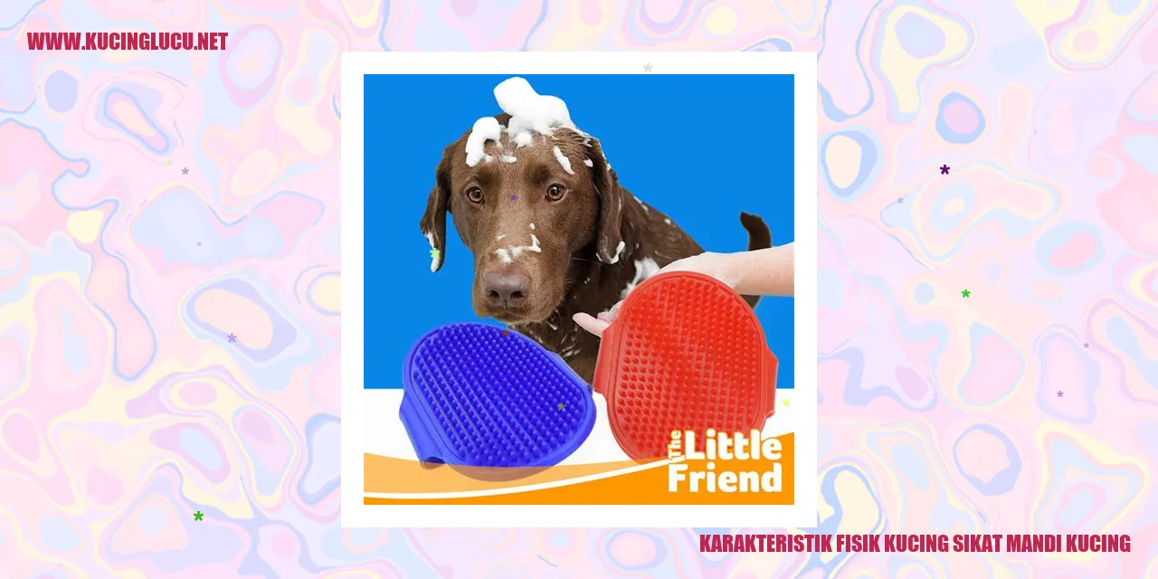 Karakteristik Fisik Kucing Selama Mandi